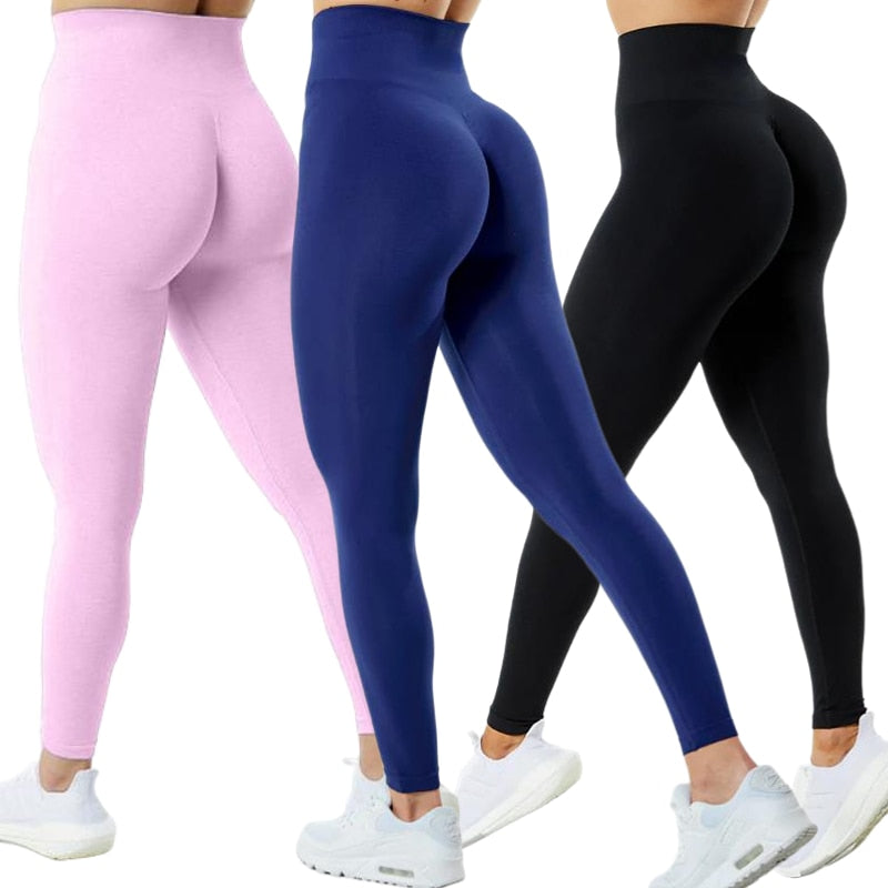 3 Pack Women Amplify Seamless, Scrunch Bottom Leggings.