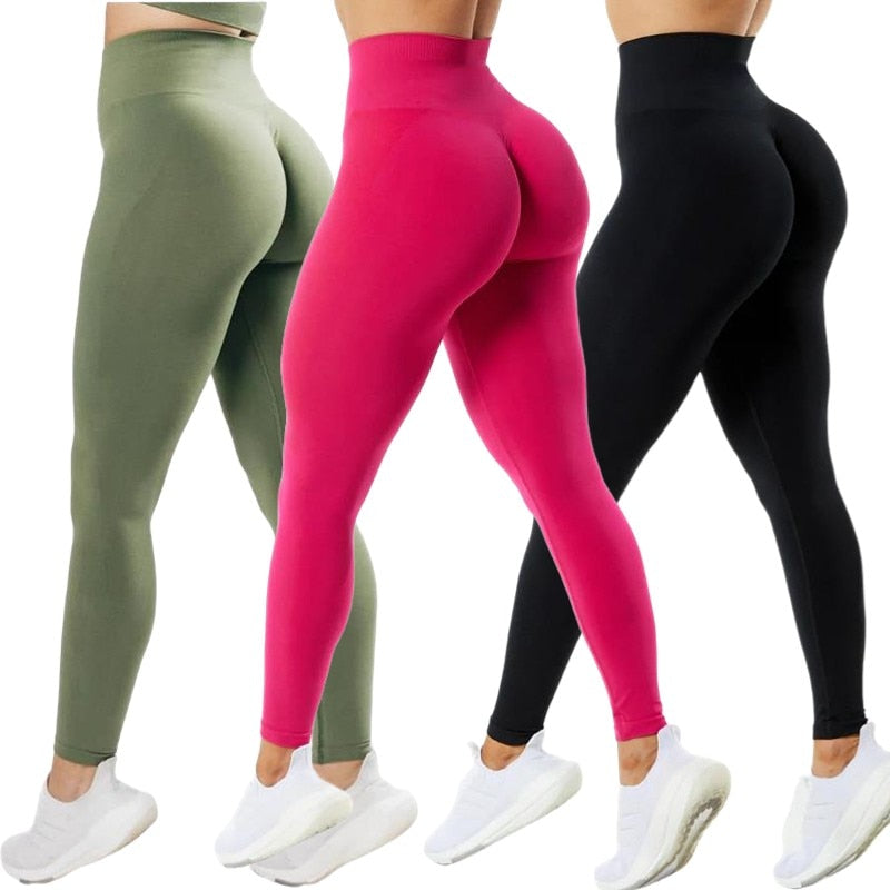 3 Pack Women Amplify Seamless, Scrunch Bottom Leggings.