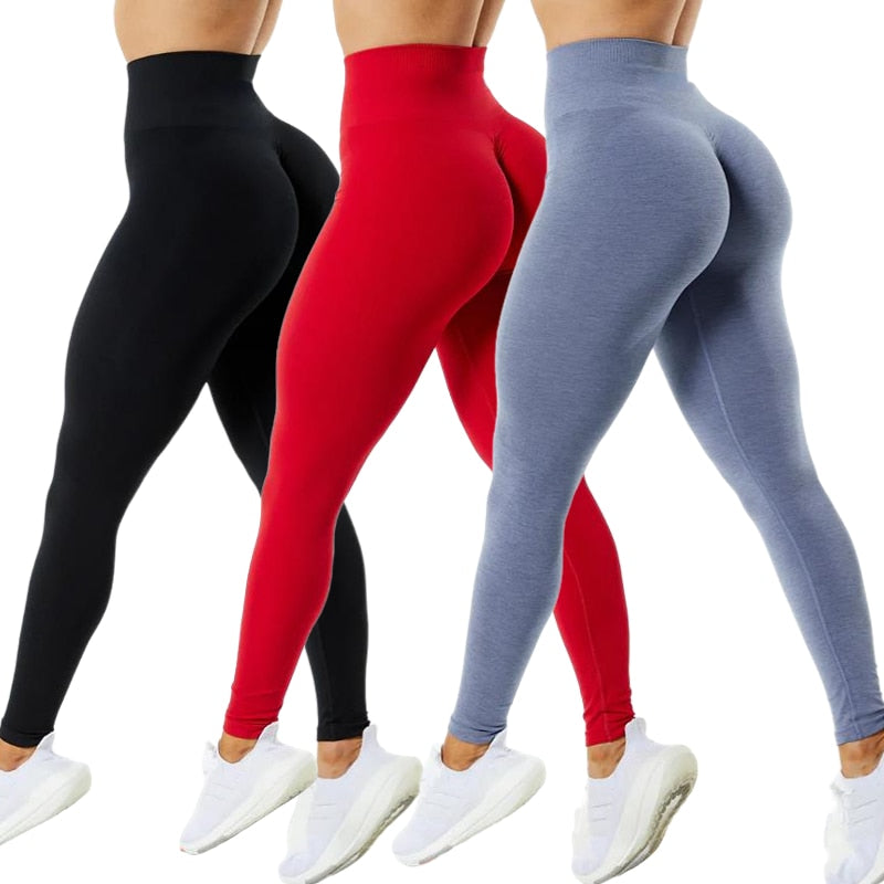 3 Pack Women Amplify Seamless, Scrunch Bottom Leggings.